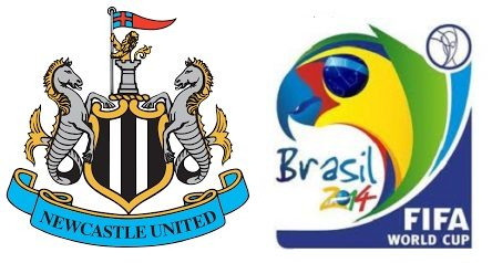 Who were the six Newcastle United players that participated in the 2014 FIFA World Cup Finals? 6 image 156