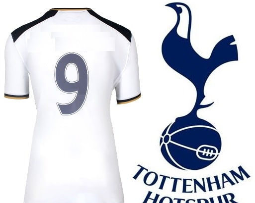 Which ten Players wore Tottenham Hotspur’s Number Nine Shirt in the Premier League Era? 10 image 33
