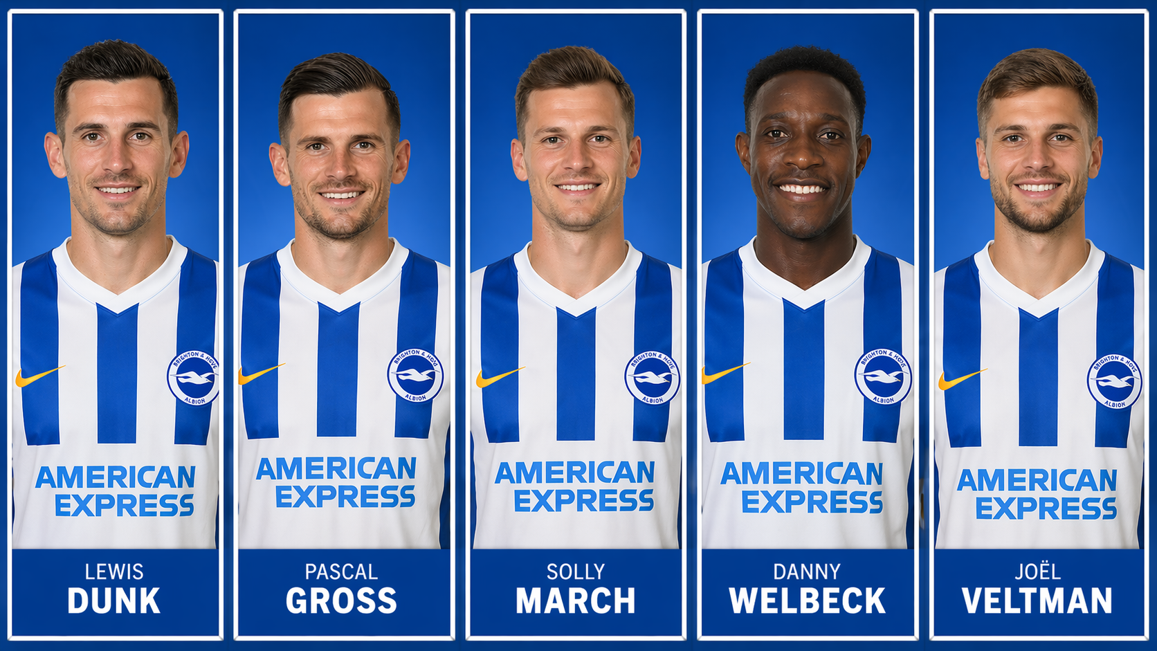Which 5 players made the most Premier League Appearances for Brighton & Hove Albion? 1 image 1