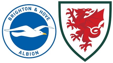 Which four Welshmen won Brighton & Hove Albion’s Player of the Year Award? 13 Brighton Welsh Players