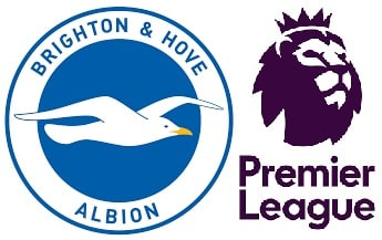 Which Brighton & Hove Albion players scored 10 or more Premier League Goals? 6 image 2