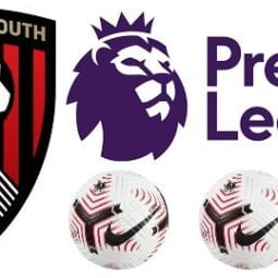 Which eight players scored 10 or more Premier League Goals for AFC Bournemouth? 1 image 10