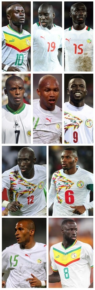 Which Senegalese scored fifteen or more Premier League Goals? 1 image 4
