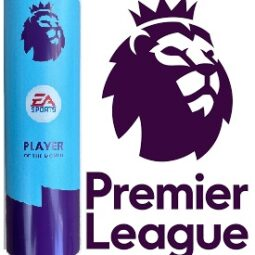 Who were the nine Premier League 2023-24 Players of the Month? 1 image 1