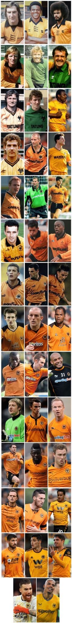Wolverhampton Wanderers Player of the Year 51 image 349