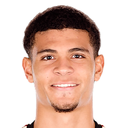 Miles Robinson Miles Robinson