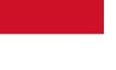 FIFA World Cup Finals Performance Records 78 Indonesia