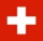 FIFA Club World Cup 2025 Group H Squads 119 Switzerland Flag e1750497784274