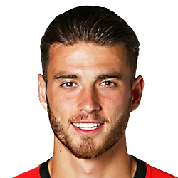 Wesley Hoedt Wesley Hoedt