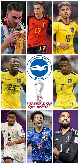 Brighton & Hove Albion Players at the 2022 Qatar FIFA World Cup Finals
