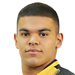 Rodney Redes