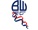 Nottingham Forest Premier League Record 5 Bolton S