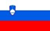 FIFA World Cup Finals Performance Records 60 Slovenia Flag 50 x 31
