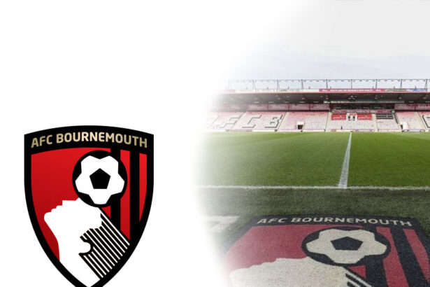 Why Bournemouth face a crucial decision over Iraola 3 Bournemouth