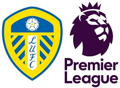 Which players scored 25 or more Goals for Leeds United in the Premier League? 10 image 15