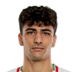 Amirmohammad Razzaghinia